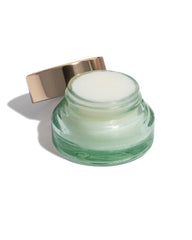 CINNAMINT|ISLAND COCONUT|PINK GRAPEFRUIT|SWEET MINT|WILD HONEY POPPY & POUT LIP SCRUB | Talbots US