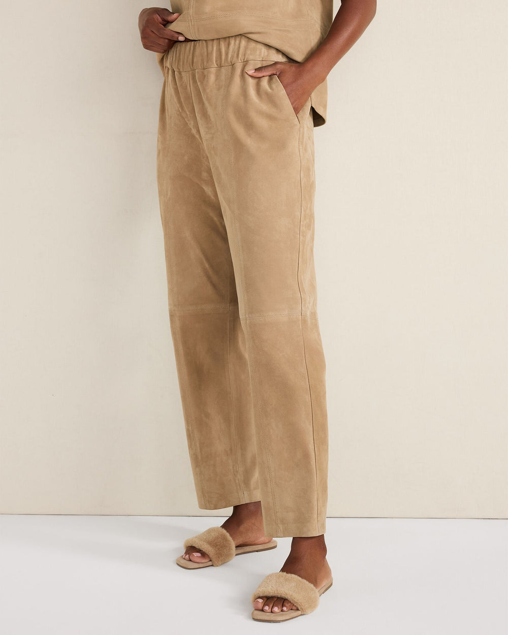 NOUGAT SUEDE SUEDE PANTS | Talbots near me
