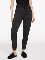BLACK BRUSHED METALLIC JOGGERS | Talbots discount
