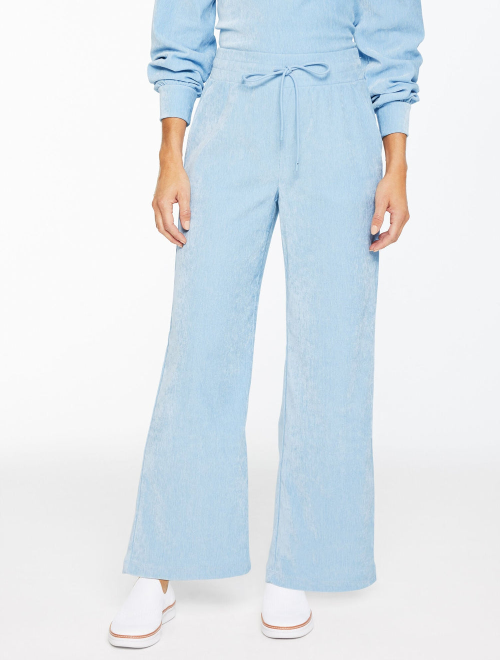 CHENILLE BLUE VELOUR WIDE LEG PANTS | Talbots online
