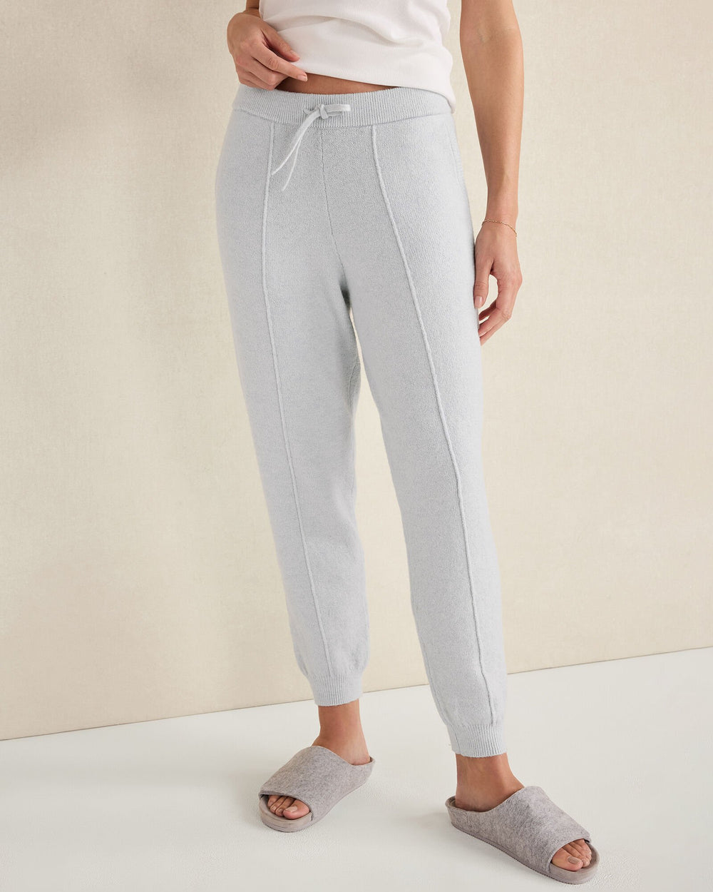 GLACIER FROST ORGANIC COTTON BLEND PINTUCK JOGGERS | Talbots near me