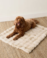 CREAM FAUX FUR PET THROW BLANKET | Talbots for sale