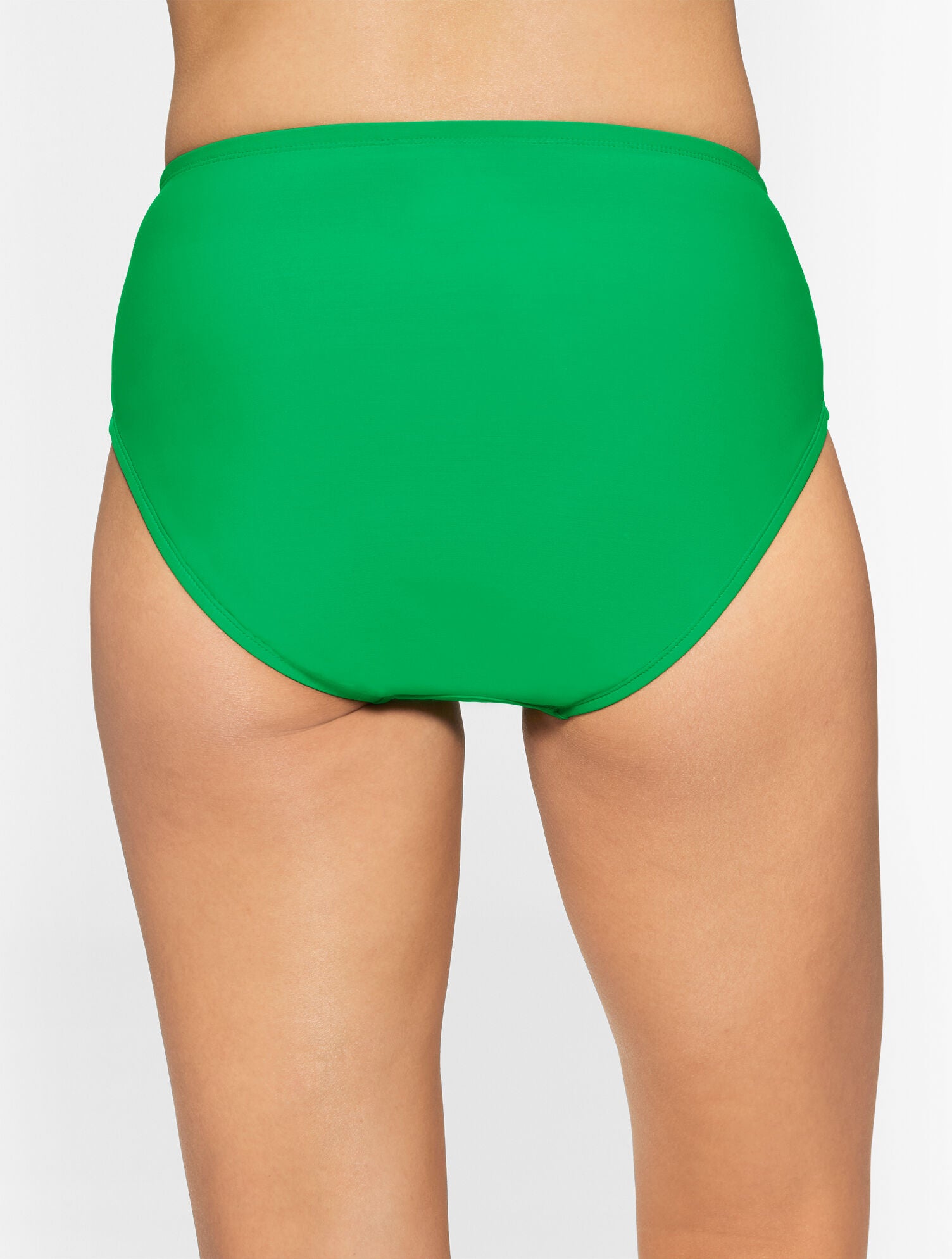 BLACK|DEEP TEAL MIRACLESUIT® BASIC BRIEF - SOLIDS | Talbots near me