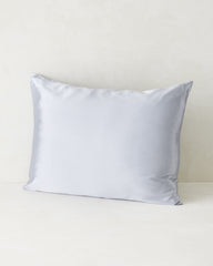 ARCTIC ICE|FAWN|IVORY|LIGHT STONE|SEPIA ROSE|TRUE NAVY WASHABLE SILK PILLOWCASE | Talbots outlet