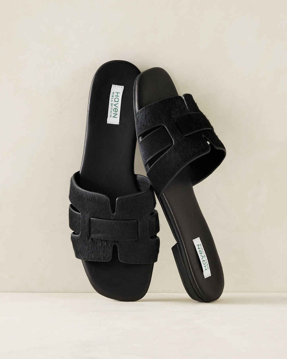 BLACK,5,Accessories