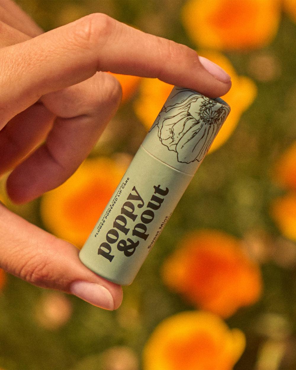 CINNAMINT|ISLAND COCONUT|PINK GRAPEFRUIT|SWEET MINT|WILD HONEY POPPY & POUT LIP BALM | Talbots online