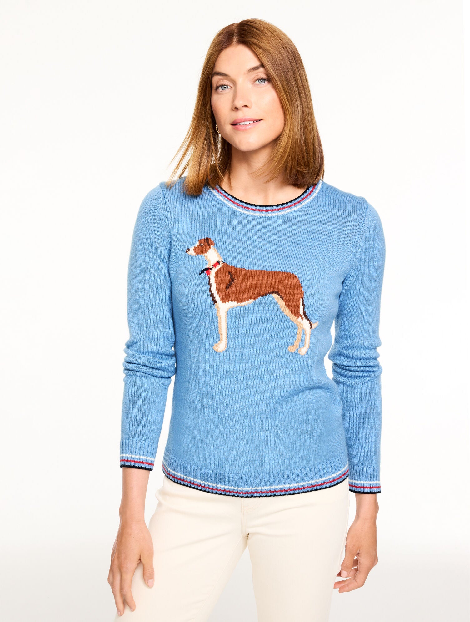 BLUE WAVE MULTI CREWNECK SWEATER - WHIMSY DOG | Talbots discount
