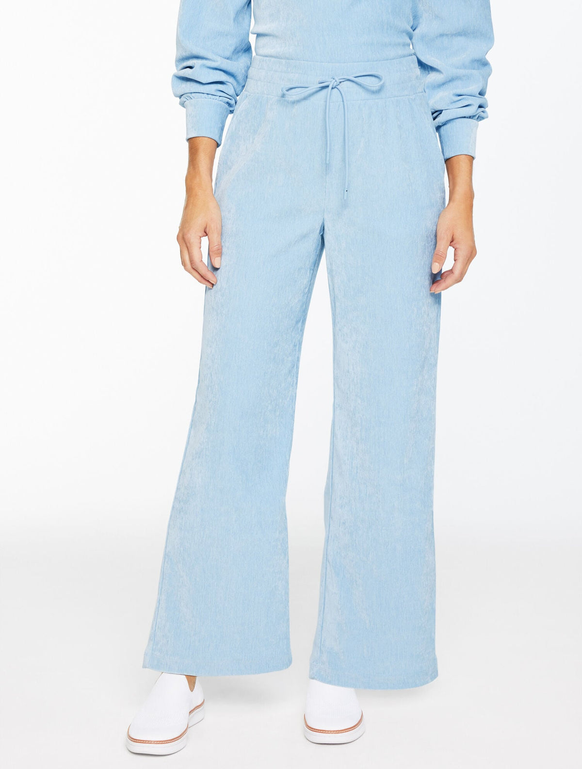 CHENILLE BLUE VELOUR WIDE LEG PANTS | Talbots online