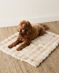 CREAM FAUX FUR PET THROW BLANKET | Talbots for sale