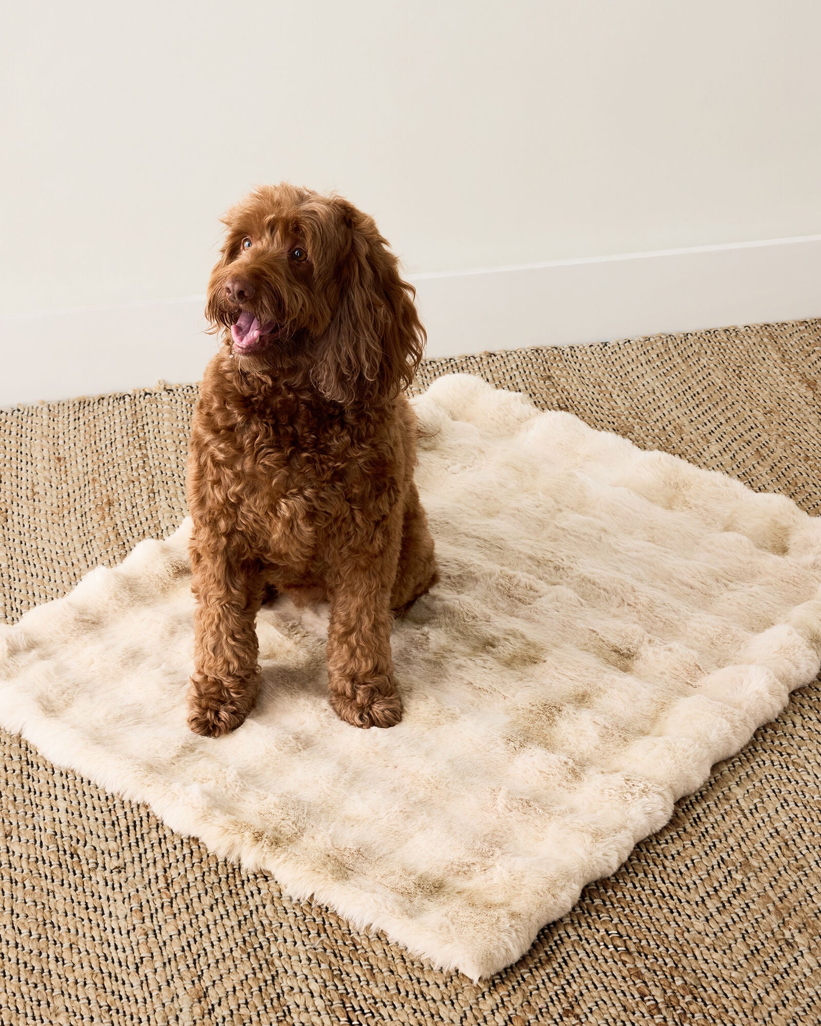 CREAM FAUX FUR PET THROW BLANKET | Talbots discount