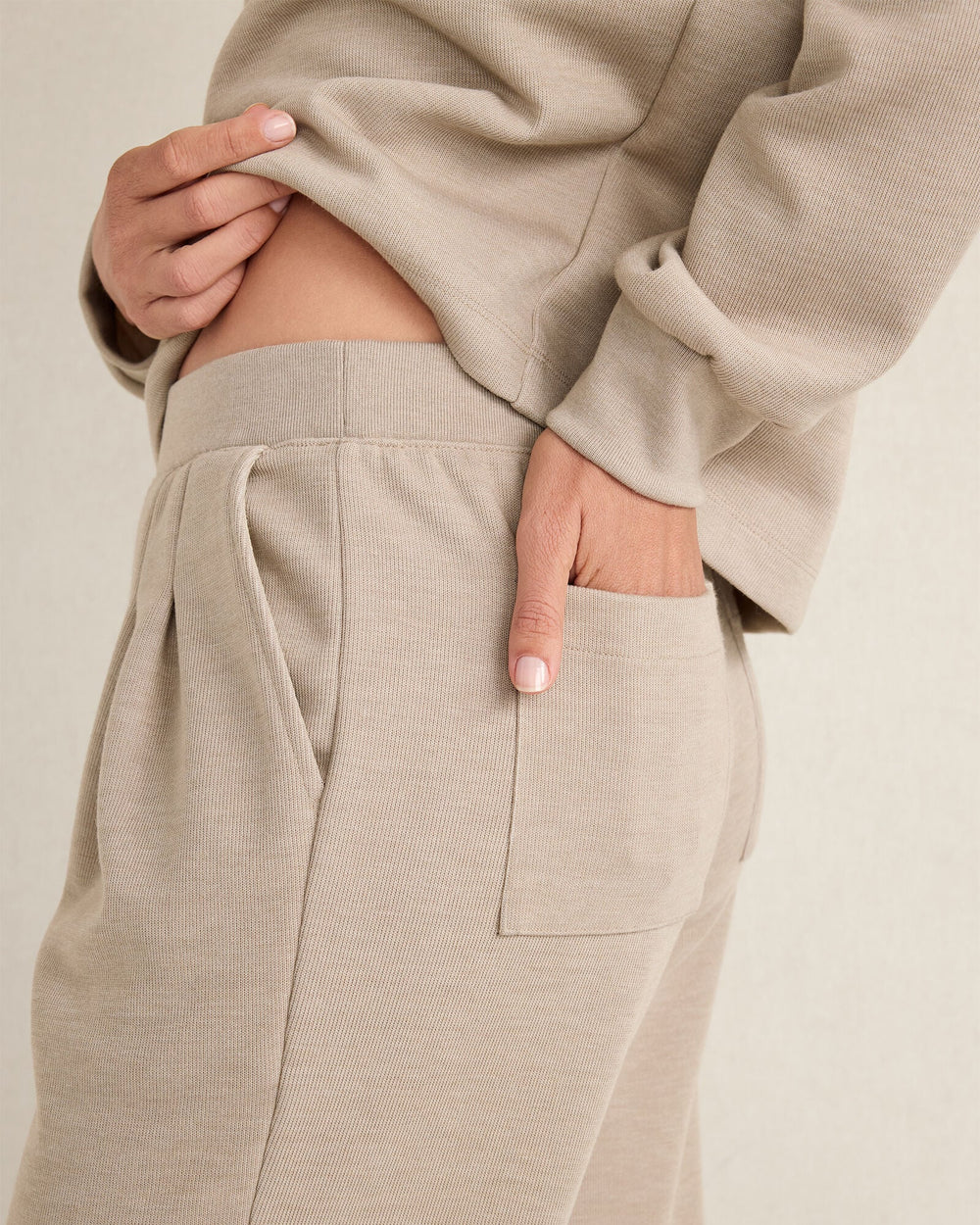 IVORY|PURE TAUPE DOUBLE KNIT PLEATED PANTS | Talbots US