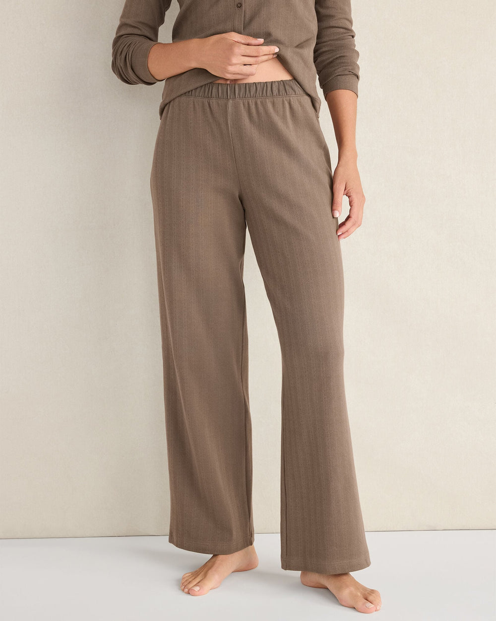 IVORY|SLATE BROWN ORGANIC COTTON POINTELLE PANTS | Talbots on sale